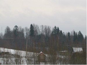 Дом усадьбы в деревне Окулово. Фотография 2012г.