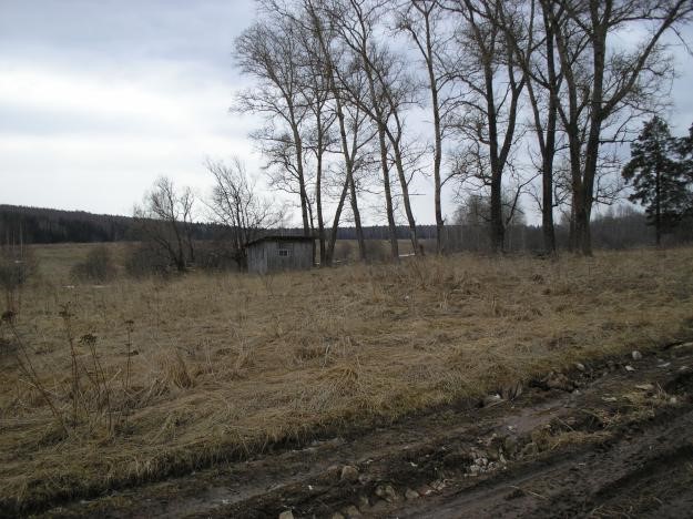 Сохранённый участок Владимирки в Кольчугинском районе Владимирской области