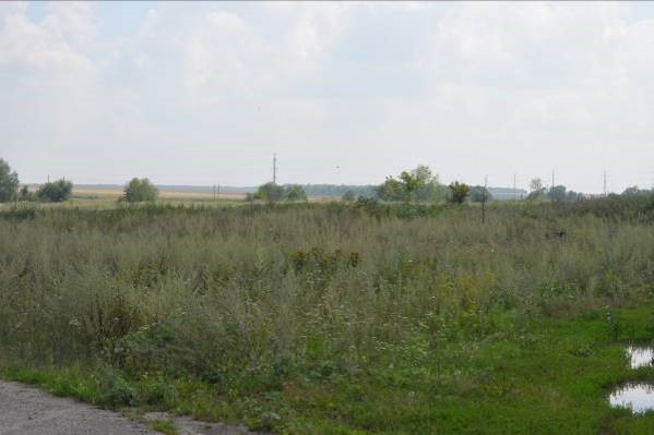 Пустырь в центре Урусово. 2013 г.  Фотография автора работы